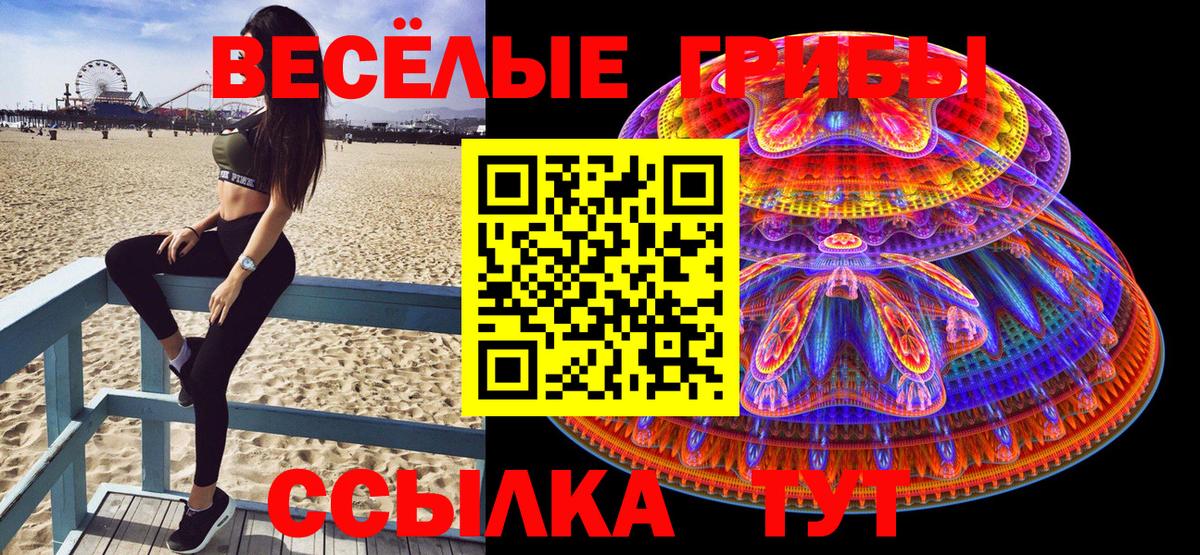 Псилоцибиновые грибы GOLDEN TEACHER Междуреченск